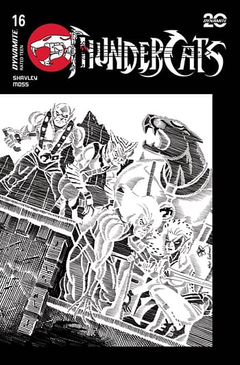 Cover image for THUNDERCATS #16 CVR T 20 COPY INCV TMNT HOMAGE HAESER LINE A