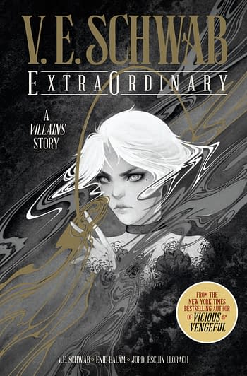 Cover image for VE SCHWABS EXTRAORDINARY CONVENTION SPECIAL HC