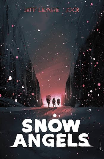 Cover image for SNOW ANGELS LIBRARY ED HC