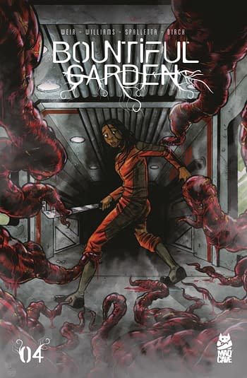 Cover image for BOUNTIFUL GARDEN #4