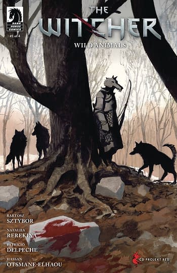 Cover image for WITCHER WILD ANIMALS #1 CVR B FIOR