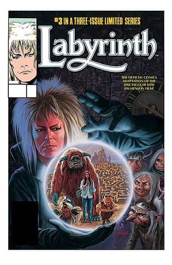Cover image for JIM HENSONS LABYRINTH ARCHIVE ED #3 (OF 3) CVR A PALMER