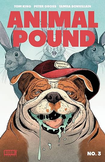 Cover image for ANIMAL POUND #3 (OF 4) CVR A GROSS (MR)