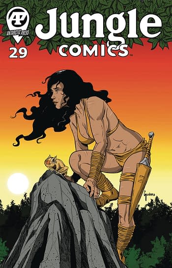 Cover image for JUNGLE COMICS #29