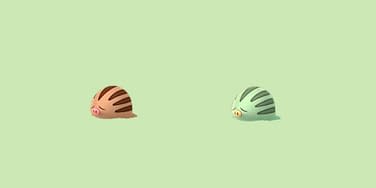 Pogo] Finally got a shiny swinub!! : r/ShinyPokemon