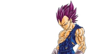 Should Dragonball Z Be Remade? If So, Who Should Animate It? : r/dbz