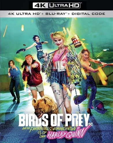 Exclusive: Birds Of Prey 2 Is Now Dead At Warner Bros.