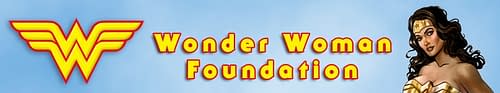 Cracking The Wonder Woman Foundation