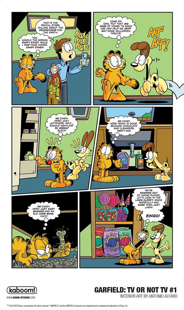 Garfield Gets a Reality Show in First Look at Garfield: TV or Not TV