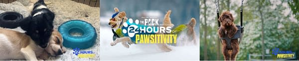 The Pack Brings 24 Straight Hours of Paw-sitivity to Your 2020