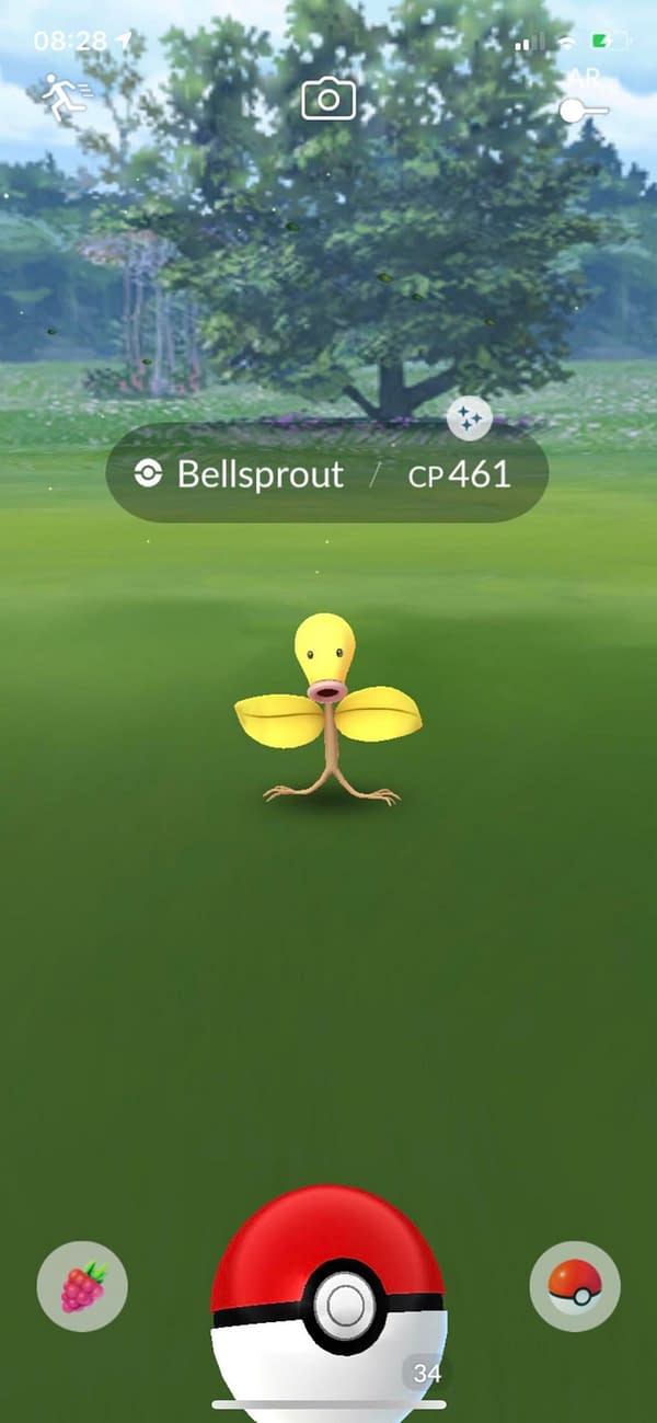 Shiny Bellsprout in Pokémon GO. Credit: Reddit user u/retrophysical.