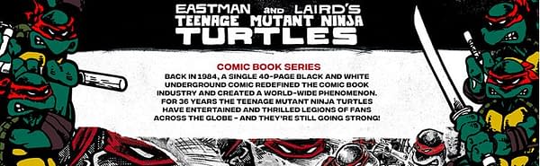 TMNT Gets Original Comic Book Deco Bundle from Playmates