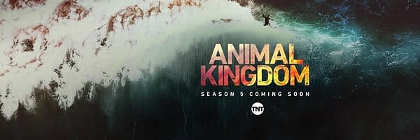 Animal Kingdom Season 5 - What We Know