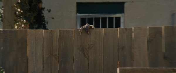 A small animal paw grips the top of a wooden fence in front of a house, with a window blurred in the background.