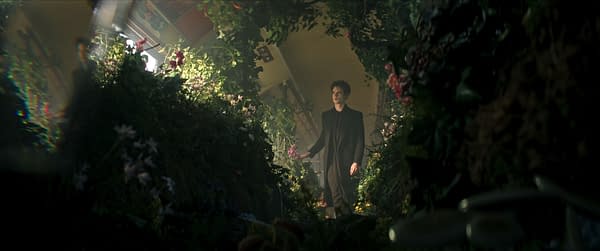 The Sandman