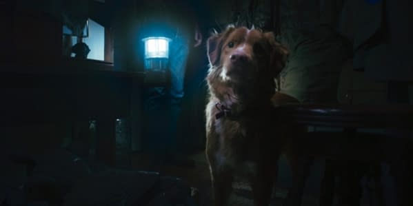 A warm, inviting scene featuring a brown dog with a curious expression, illuminated by the light of a lantern held by a person in the background. The setting suggests a cozy indoor environment, enhancing the dog's charming presence.