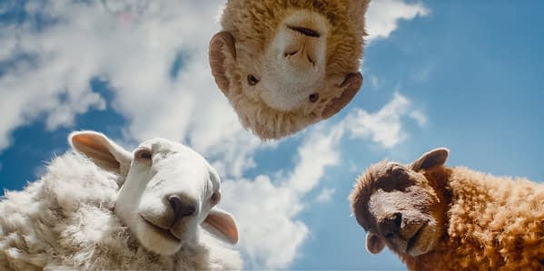 A vibrant illustration featuring three cartoon sheep peering down from above against a bright blue sky with fluffy clouds. The characters are likely associated with the animated film 'The Sheep Detectives,' highlighting their playful and curious expressions.