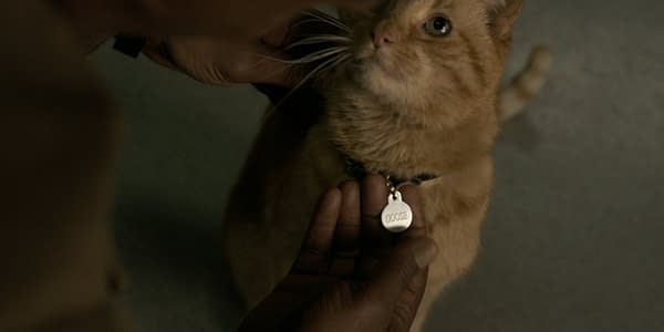 Kelly Sue DeConnick Says Captain Marvel's Cat Goose is Female!