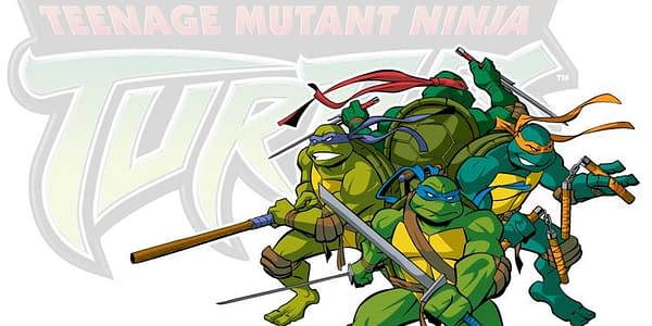 Teenage Mutant Ninja Turtles Circa 2003s Smash-Up #1