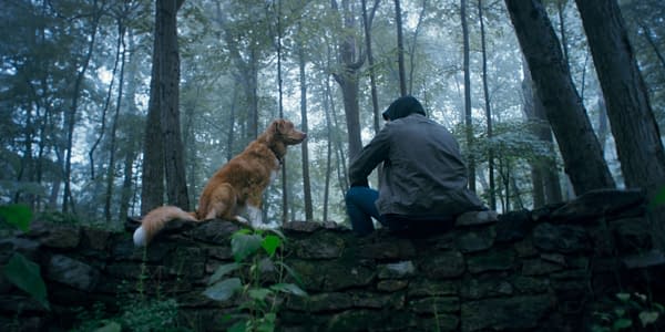A golden retriever sits on a stone wall in a misty forest, gazing at a person in a hooded jacket who is sitting on the wall with their back turned, both appearing contemplative.