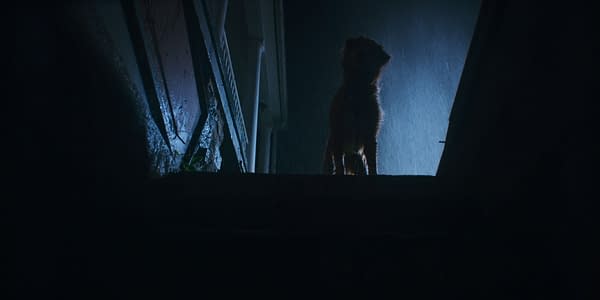 A silhouette of a small dog standing at the top of a staircase, with rainwater streaming down around it, creating a moody atmosphere.