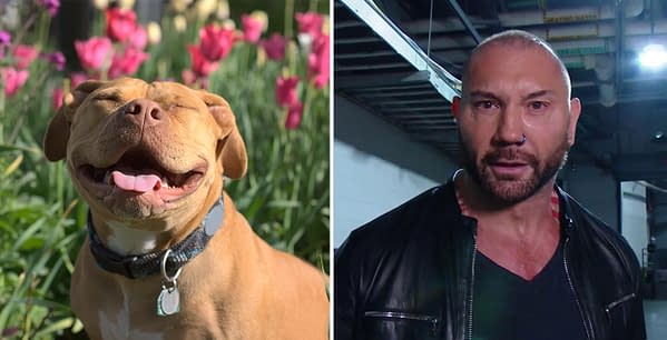 Dave Bautista has lots of love for pit bulls.