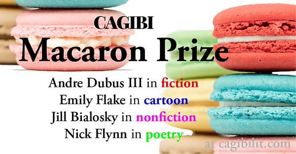 Emily Flake to Judge New Cartoon/Comics Category for Cagibi's Annual Macaron Prize