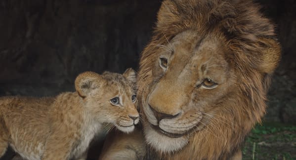 Mufasa: The Lion King