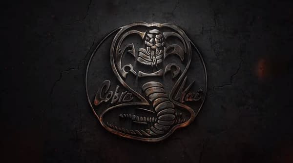 Cobra Kai: First Look at Ralph Macchio, William Zabka 'Karate Kid' Series