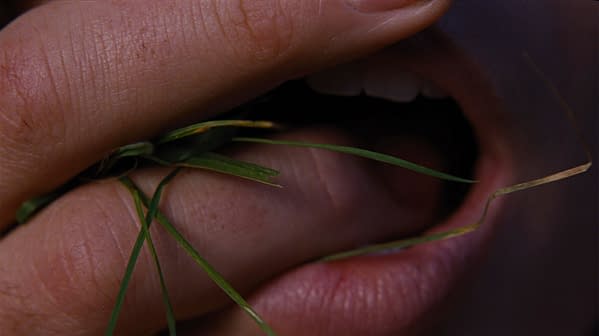 A close-up of a person's mouth partially open with blades of grass held between their fingers, conveying a sense of nature and raw emotion, likely reflecting themes related to 'Wuthering Heights.'