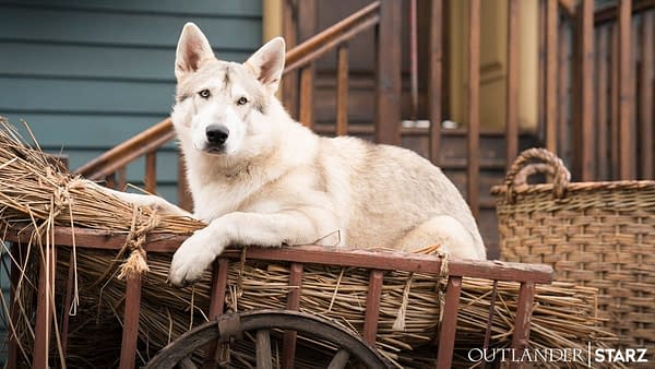 Outlander: STARZ Celebrates Year Of The Dog With Photo of Rollo