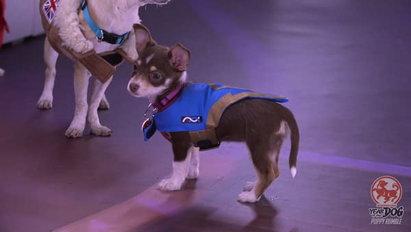 Overwatch: Blizzard's "Puppy Rumble" Is for All the Kibble!