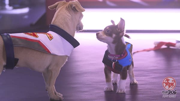 overwatch blizzard puppy rumble