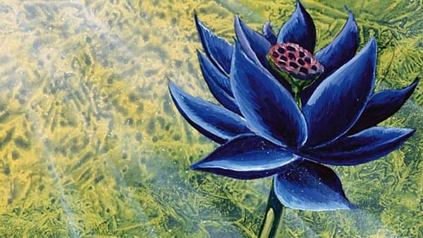 The artwork for Magic: The Gathering's famed Black Lotus, a highly-valuable card to the history of the game, illustrated by Christopher Rush.