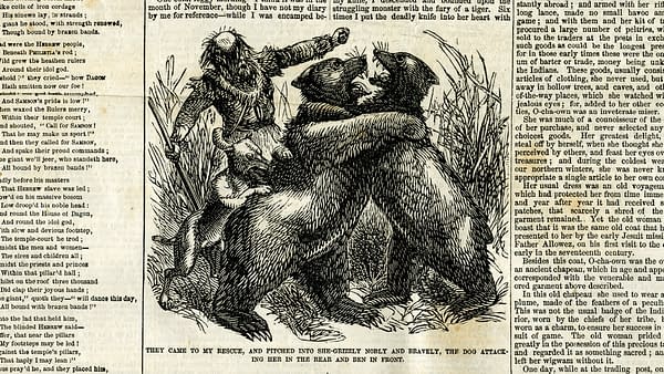 The New York Weekly Volume 15 #33 from July 12, 1860 featuring Grizzly Adams.