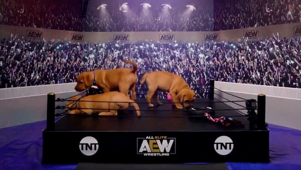 AEW will make history with the first-ever all-puppy Battle Royale