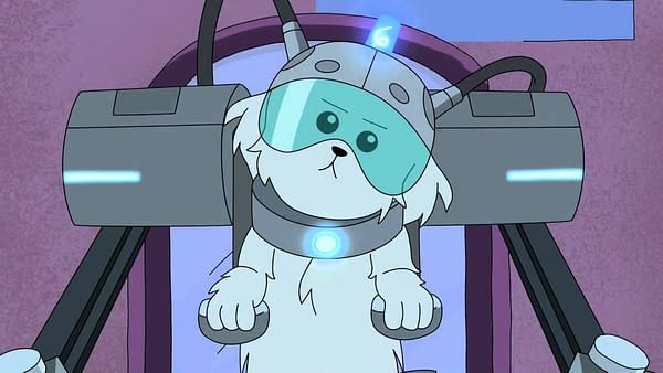 A look at Snowball from Rick and Morty (Image: Adult Swim)