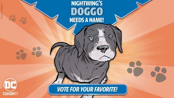 DC Comics wants you to decide the fate... er, we mean the name of Nightwing's new pup!