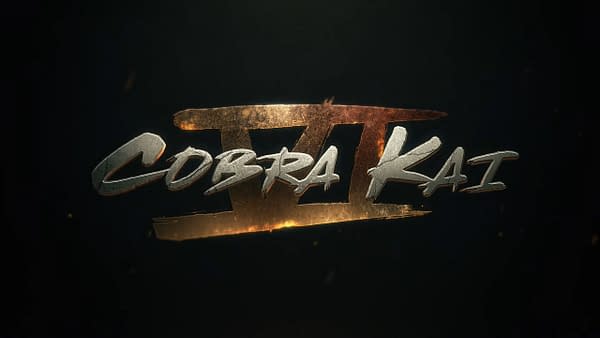 Cobra Kai Ending with Season 6; Show Creators Pen Letter To Fans