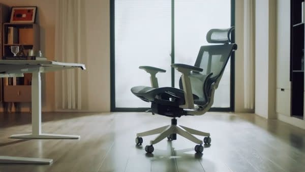 FlexiSpot C7 Ergo Office Chair Fits Standing Desk Workdays (REVIEW)