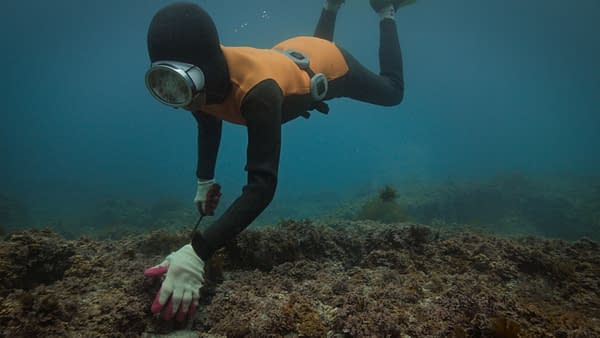 The Last of the Sea Women Dir. Sue Kim on Female Korean Divers Lives