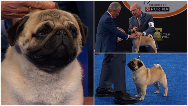 The National Dog Show