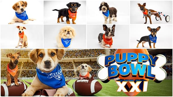 Puppy Bowl