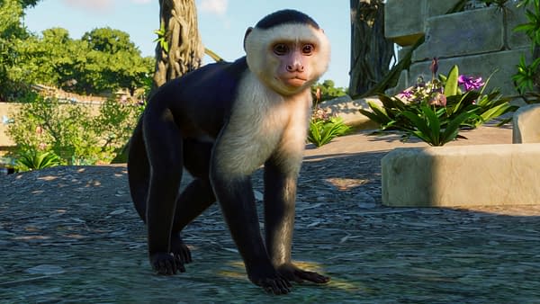 Planet Zoo: Console Edition Launches Australia & South America Pack