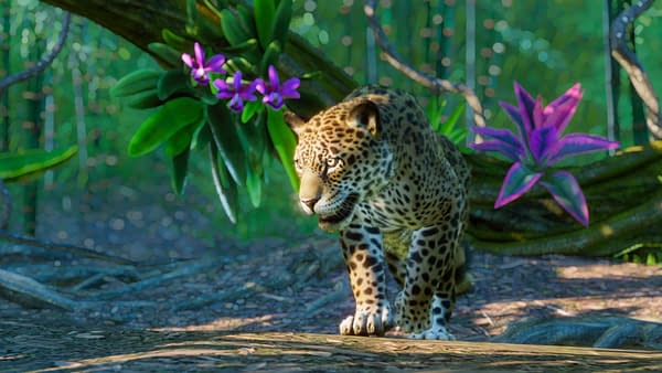 Planet Zoo: Console Edition Launches Australia & South America Pack