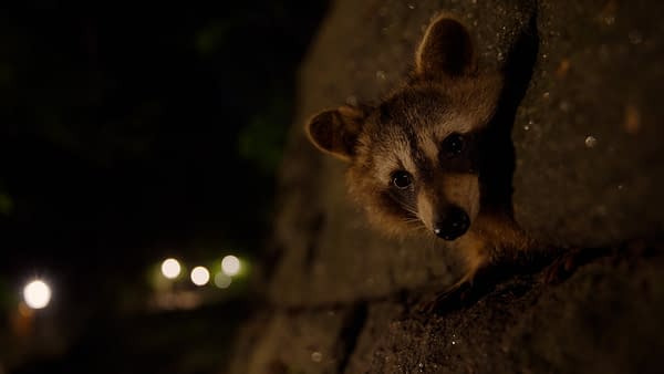 The Americas: NBC's Tom Hanks-Narrated Nature Series Debuts Tonight