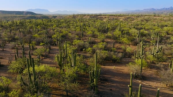 The Americas: NBC's Tom Hanks-Narrated Nature Series Debuts Tonight