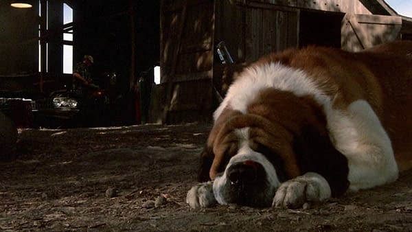 Cujo Remake Being Conjured Up At Netflix