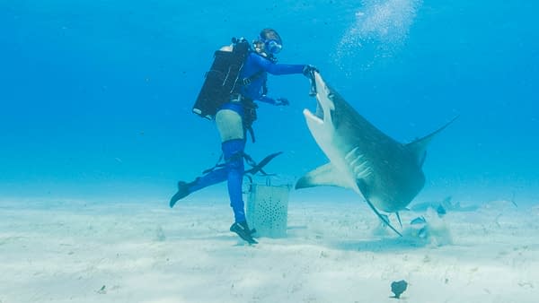 Shark Week 2025 Night 1 Preview: Dancing with Sharks, Air Jaws &#038; More