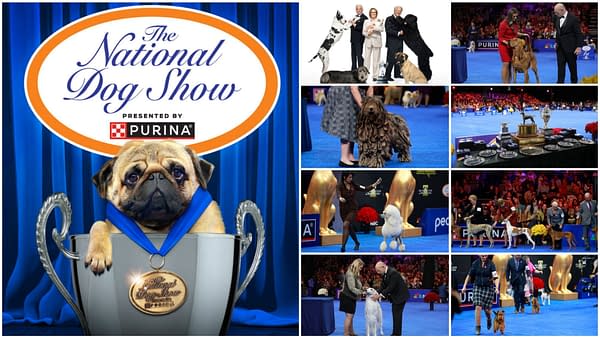 National Dog Show Pregame: Everything You Need to Know!